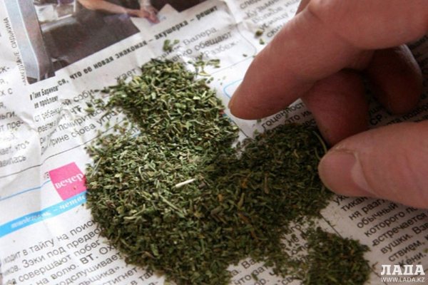 Работающие ссылки омг